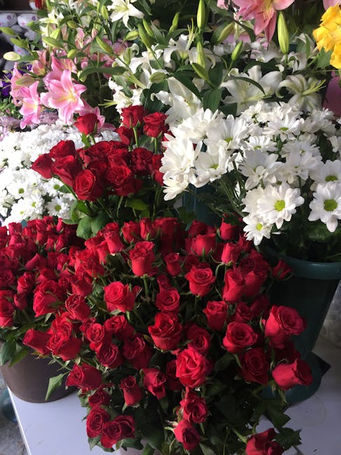 A vibrant display of fresh flower arrangements featuring a large bouquet of deep red roses with lush green leaves, placed on a pale surface. Above, there are white daisies with bright yellow centers a