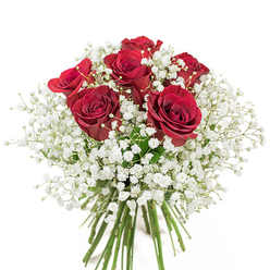 With artistry shaped by the tranquil rhythms of Thamesmead, this hand-tied bouquet weaves together six vivid red roses and a cloud of pristine white Gypsophila. Each rose is a testament to love-its rich, velvety petals spiraling open in a show of heartfelt passion and care. These steadfast blooms are enveloped by a billowing mass of tiny baby's breath blossoms, evoking the soft, ethereal light that dances across the Thamesmead marshlands at dawn. The interplay is poetic: bold crimson at the center, softened by the almost weightless embrace of countless miniature white flowers, balancing strength and gentleness in every angle. The verdant green stems are tied with practiced hands, their lengths a marker of botanical vitality and the freshness one expects from a trusted floristry studio by Southmere Village. Illuminated gently, the arrangement's full-rounded shape and harmonious colors are brought to life, inviting both admiration and a sense of elevated calm. Perfect for expressing sincere love or celebrating life's special events throughout Abbey Wood or Thamesmead, this bouquet stands as a symbol of timeless affection, crafted for those who cherish meaningful beauty.